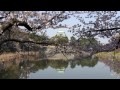 桜洞城