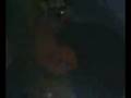 videos de En Extremoduro con Kalea y la butanera xD