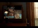  - MovieZen Video