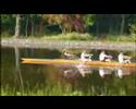 Van Oord Training 140508