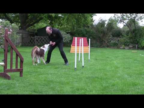 2x2 Banter's 4th session 8th May 2017