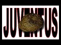 Anti juve 4ever