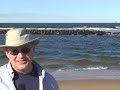 CapeCast: Tons of seals! CapeCast: Tons of seals!