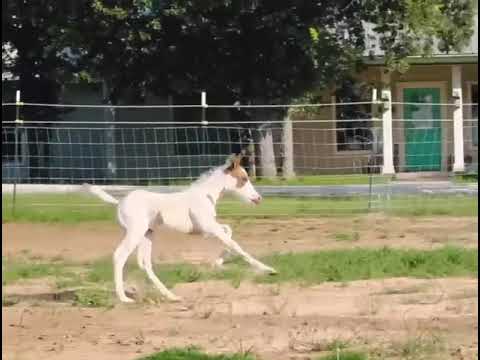Jewels and Treasure Outside