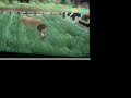 Harvest Moon Glitch #2 Harvest Moon Glitch #2