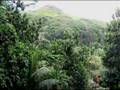 MAHE - SEYCHELLES  suite