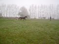 Foaly 3
