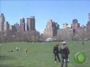mama en central park mama en central park