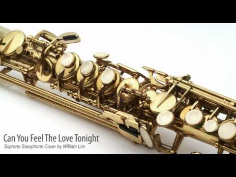 Can You Feel The Love Tonight Pdf String Quartet Instrument