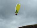 Gin Bobcat & Nano Soaring