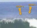 surfing shark attack   ataque de tiburon