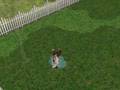 Pets Video