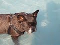 Waterpret 3 Waterpret 3