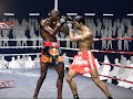 Muaythai video game for PC