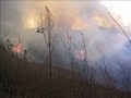 incendio forestal  infoca   2003 