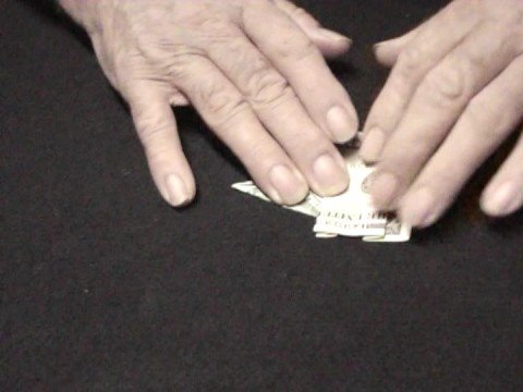 RINOCERONTE