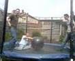 Spacehopper-Trampoli