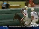 Horseball World Cup no Telejornal