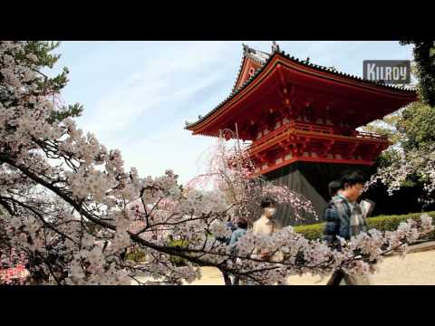 how to trip japan