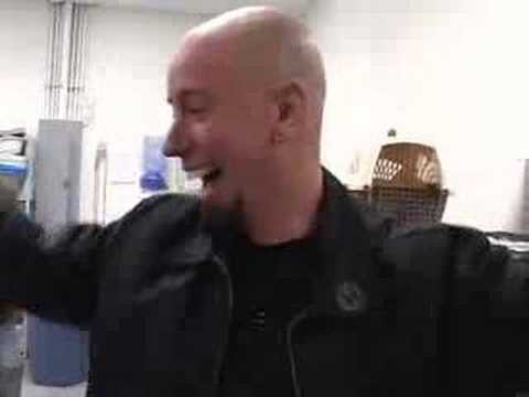 5 pit bull