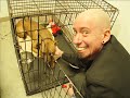 russell-watson-takes-a-bat-and-kills-the-puppy-and-laughed.html