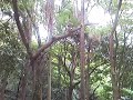 SNC00059.mp4