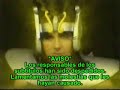 Armadurita pinche