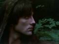 Robin z Sherwood