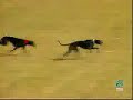 poncho benjamina 2a carrera de semifinales campeonato 2004