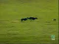 poncho benjamina 2a carrera de semifinales campeonato 2004