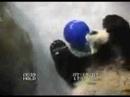 Tai and the blue ball