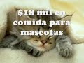 Todo para ti (What more can I give)