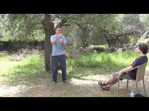 how to fix qi deficiency