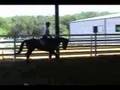 Anna Seegers - Toni Leviste Clinic - Dallas Texas