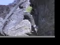Hydra ????????