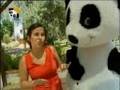Panda & Cia - episódio 2 - parte 1/2