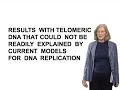 Elizabeth Blackburn 