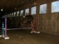 videos de Pogo Free Jumping