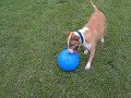 Shakas football skills.MOV