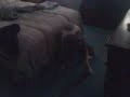 Winston and the Towel, Pt 1