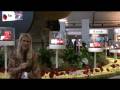 videos de New York Fashion Week - -Intro