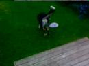 iPhone video test