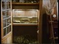 I mina hemliga skåp (1987)