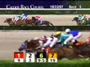 CALDER-RACE-COURSE-2