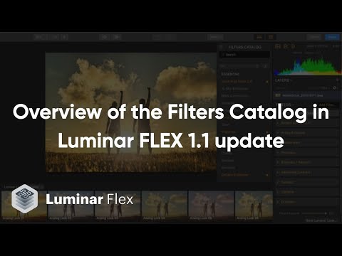 Filters Catalog Luminar Flex Update