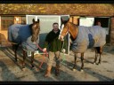Denman vs Kauto Star
