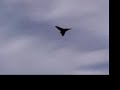 Flying RC Jets