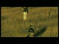 video clip