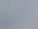Seagulls - Lots of them! Seagulls - Lots of them!