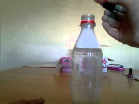 how to decide to put your pet down